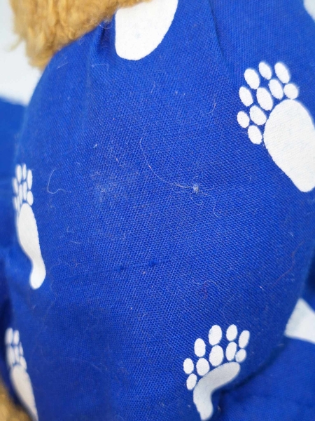 Sunkid Plüsch Teddy Bär